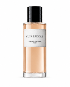 cuir saddle.png