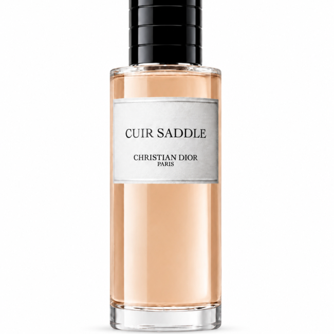 cuir saddle.png cuir saddle.png