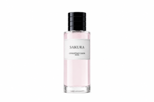 sakura.png